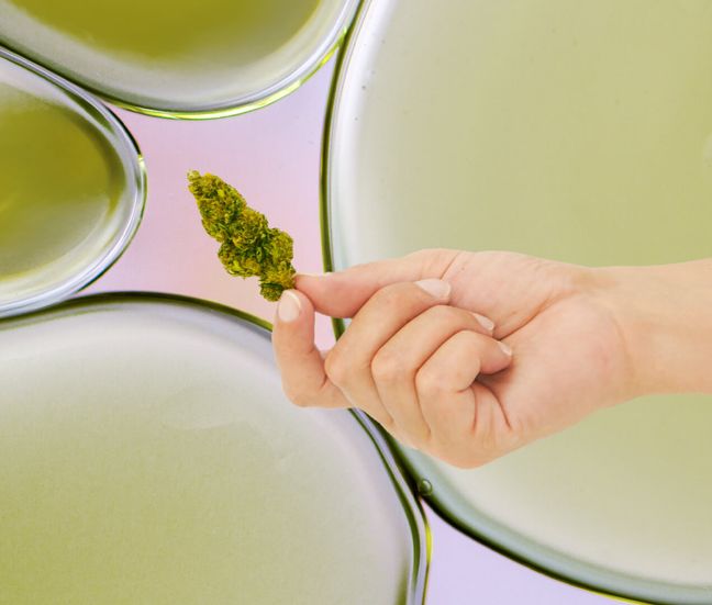 Products Etain Health New York Legal Medical Cannabis