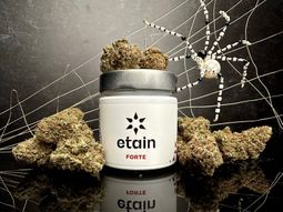 Etain White Widow (WW) Forte Medical Cannabis Whole Flower New York Where To Buy Dispensary